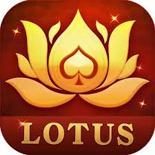 teen patti tash wala game download